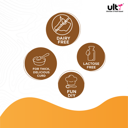 Ultx Soya Curd Culture, 10 Sachets